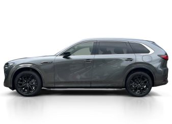 CX-80