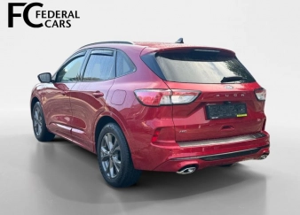 Kuga